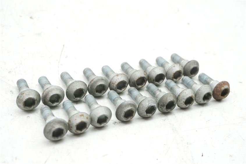 YAMAHA MT01 RP12 BRAKE DISC BOLTS FRONT & REAR