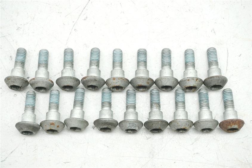 YAMAHA MT01 RP12 BRAKE DISC BOLTS FRONT & REAR