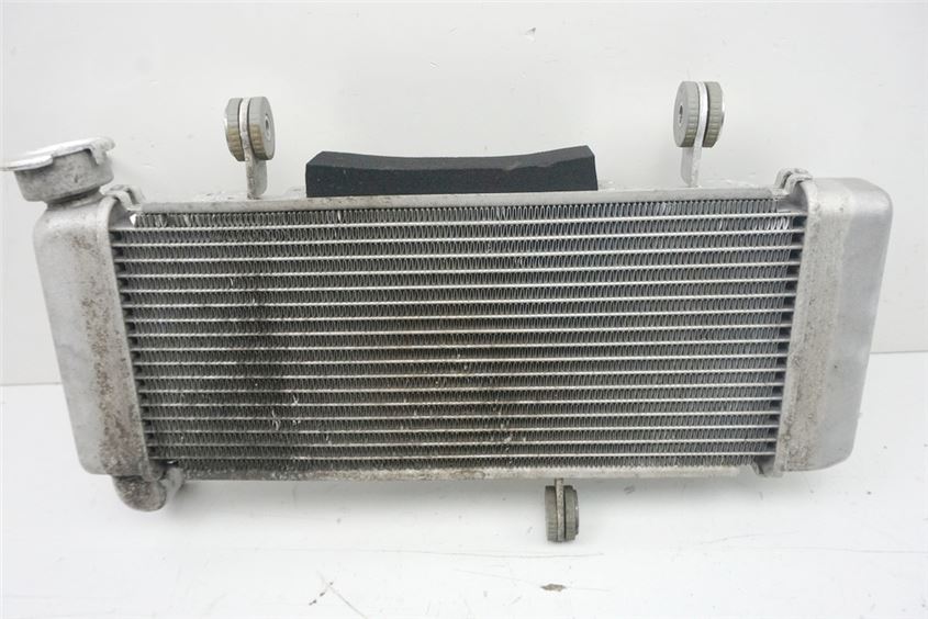 KAWASAKI BX 125 A NINJA RADIATOR WATER COOLER