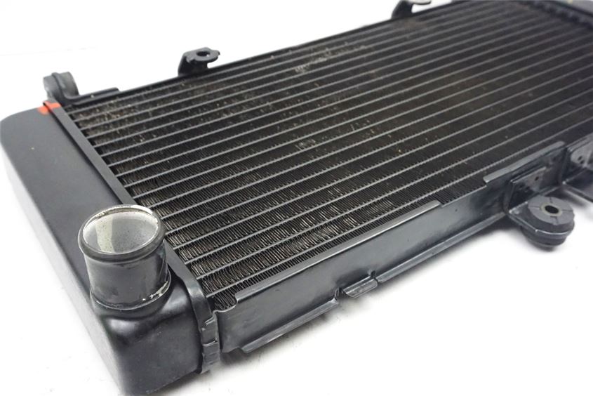 HONDA CBF 600 NABS PC38 RADIADOR DE AGUA ORIGINAL