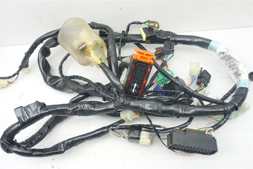 HONDA CBF 600 NABS PC38 CABLEADO CABLEADO PRINCIPAL MAZO DE CABLES
