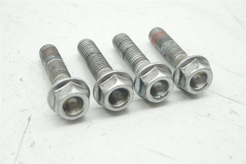 HONDA CBF 600 NABS PC38 TORNILLOS PINZA FRENO DELANTERA