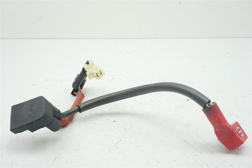 HONDA CBF 600 NABS PC38 CABLE POSITIVO CABLE BATERÍA FUSIBLE