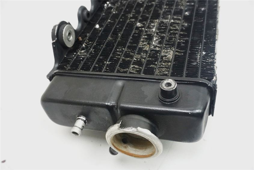 HONDA XL 600 PD06 TRANSALP RADIADOR DERECHO RADIADOR DE AGUA