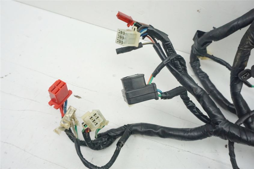 HONDA XL 600 PD06 TRANSALP KABELBAUM HAUPTKABELBAUM WIRE HARNESS - BIS 1993