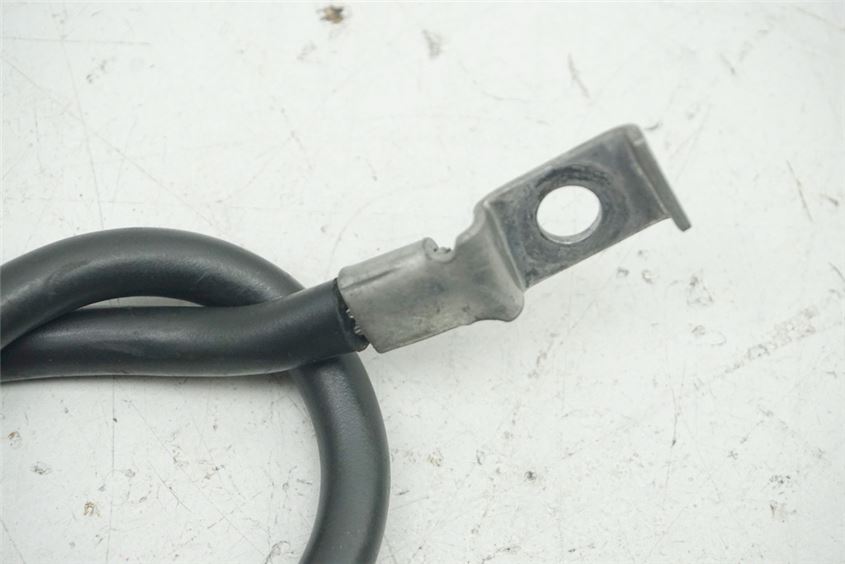 HONDA XL 600 PD06 TRANSALP MASSEKABEL MNUSKABEL