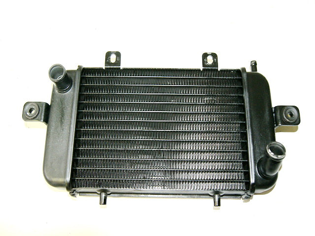 BMW C1 125 ABS RADIADOR DE AGUA REFRIGERADOR DE AGUA