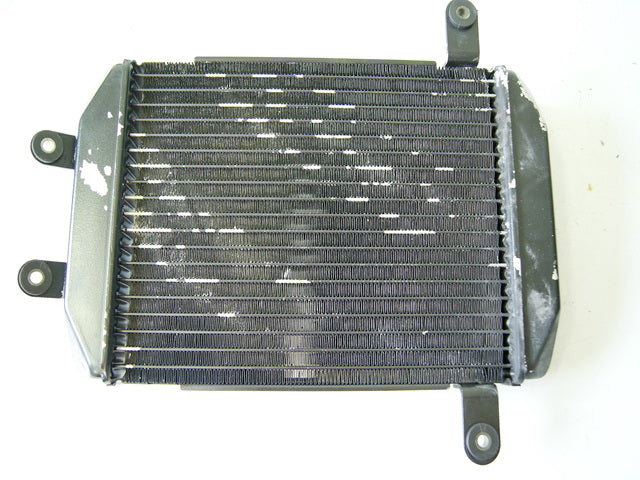 SUZUKI AN 400 BURGMAN AU KÜHLER WASSERKÜHLER COOLER