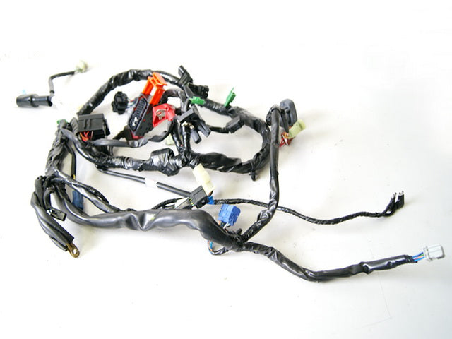 HONDA CB 600 PC41 HORNET Mazo de cables principal